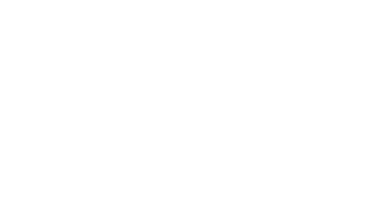 Linear conveyors modules LCM-X